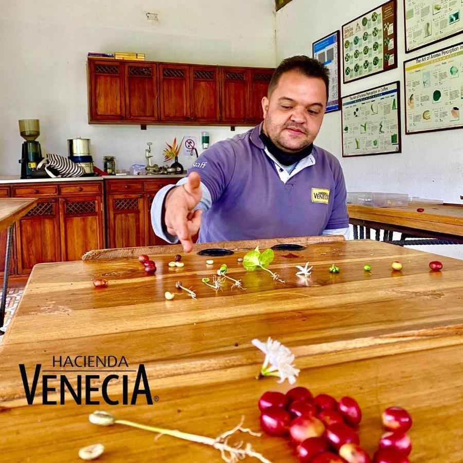 Hacienda Venecia Hostel San Peregrino Kültér fotó